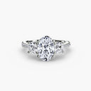 The Trinity Flow