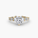 The Graduated Accent Ring