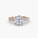 The Graduated Accent Ring